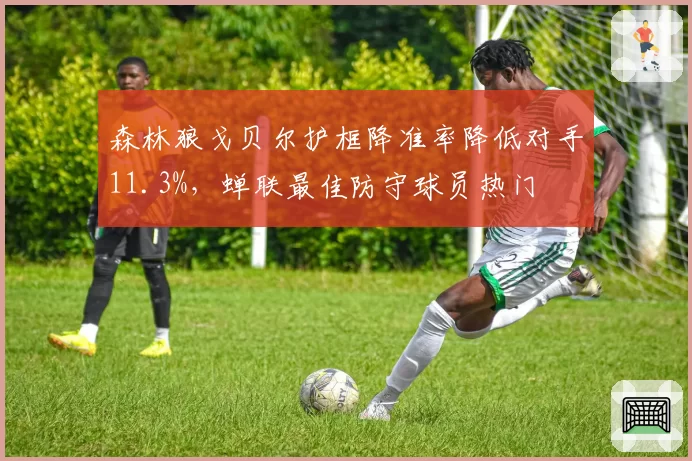 森林狼戈贝尔护框降准率降低对手11.3%,蝉联最佳防守球员热门