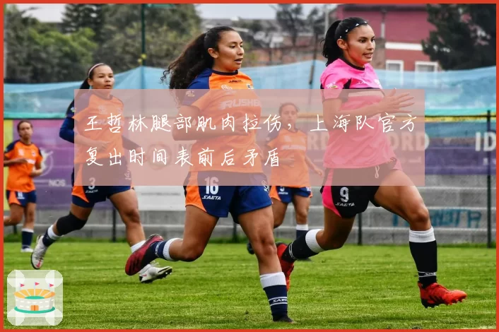 王哲林腿部肌肉拉伤，上海队官方复出时间表前后矛盾