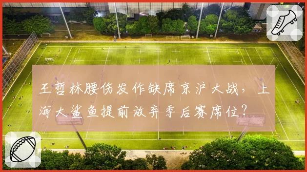王哲林腰伤发作缺席京沪大战,上海大鲨鱼提前放弃季后赛席位?