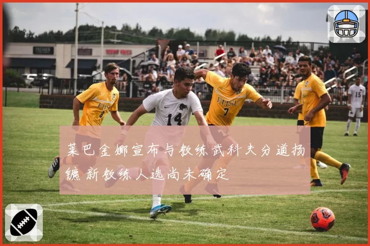 莱巴金娜宣布与教练武科夫分道扬镳 新教练人选尚未确定