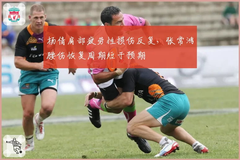 杨倩肩部疲劳性损伤反复,张常鸿腰伤恢复周期短于预期