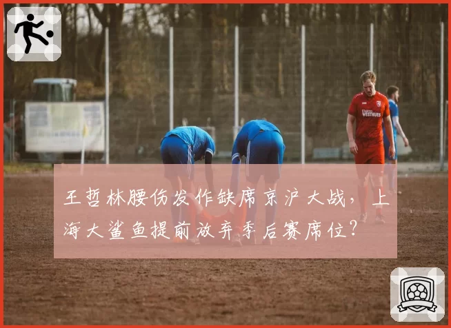 王哲林腰伤发作缺席京沪大战,上海大鲨鱼提前放弃季后赛席位?