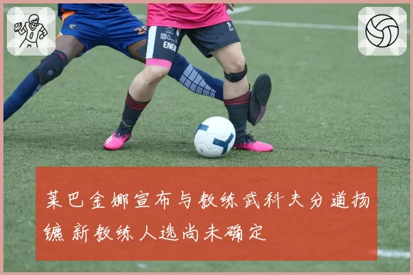莱巴金娜宣布与教练武科夫分道扬镳 新教练人选尚未确定